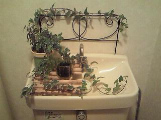 トイレとちっこい観葉植物の相性はバツグンらしいんです インテリアと暮らし